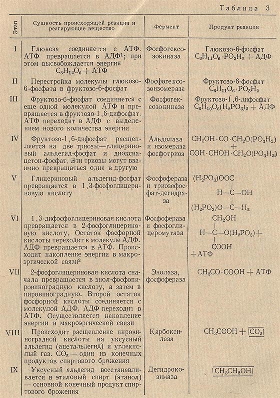 Последовательный ход превращений моносахаридов