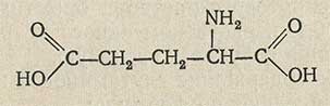 Глутаминовая кислота