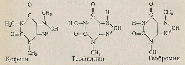 Кофеин, теофиллин и теобромин