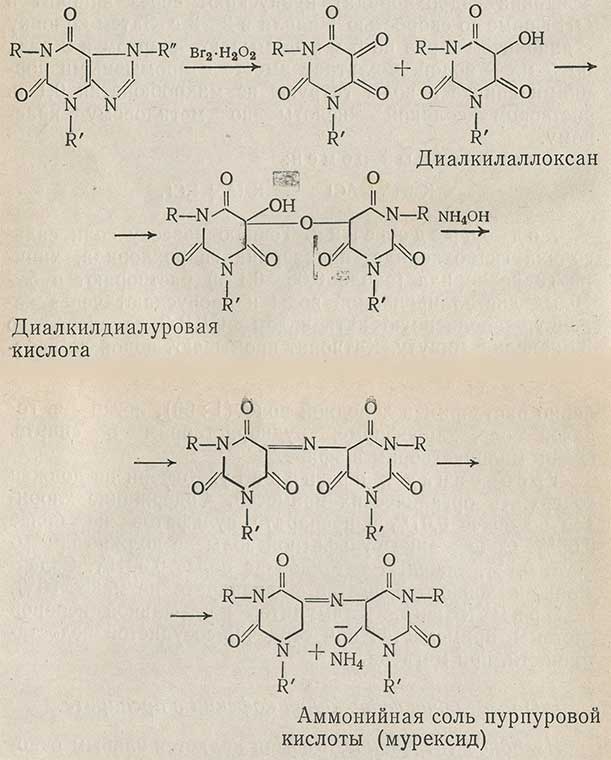 Формула