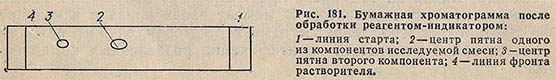 Бумажная хроматограмма после обработки реагентом-индикатором