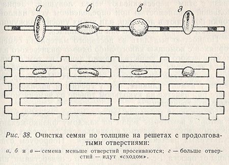 Очистка семян по толщине на решетах с продолговатыми отверстиями