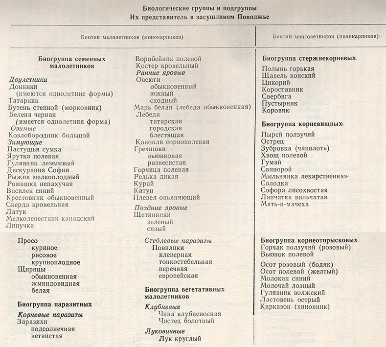 Сорняки характеристика. Биологическая группа сорняков. Биологические группы сорняков таблица. Основные биологические группы сорных растений. Классификация сорных растений.