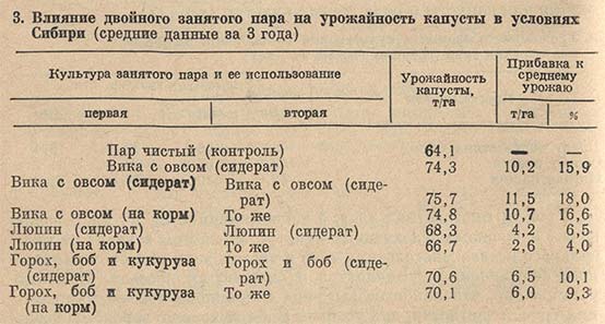 Влияние двойного занятого пара на урожайность капусты в условиях Сибири