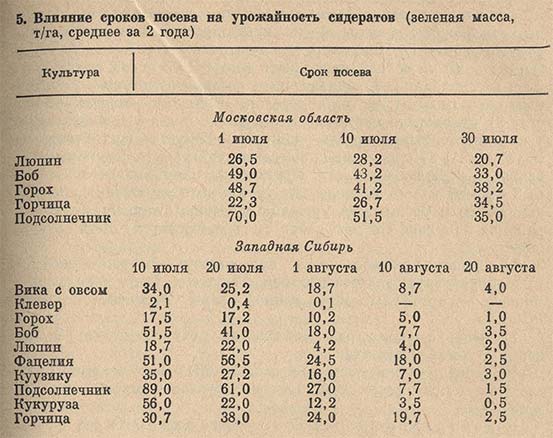 Влияние сроков посева на урожайность сидератов