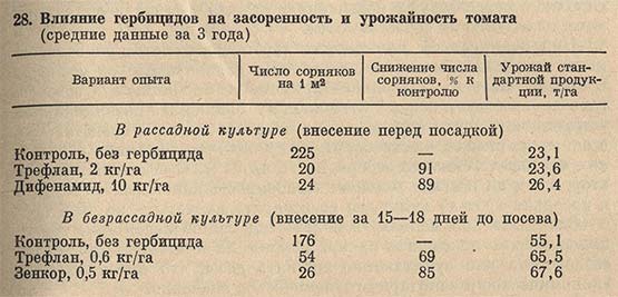 Влияние гербицидов на засоренность и урожайность томата