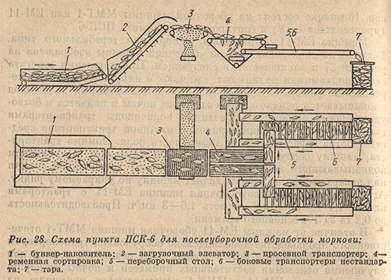 Схема пункта ПСК-для послеуборочной обработки моркови