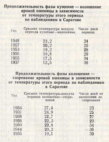 Продолжительность фазы кущение-колошение и колошение-созревание яровой пшеницы в зависимости от температуры