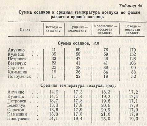 Сумма осадков и средняя температура воздуха по фазам развития яровой пшеницы