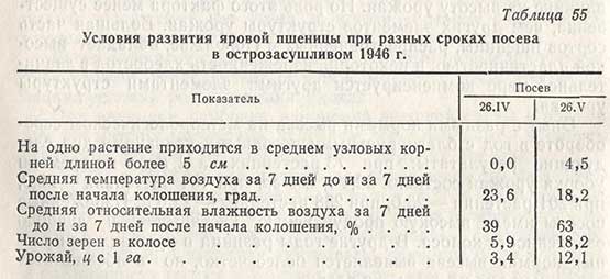 Условия развития яровой пшеницы при разных сроках посева в острозасушливом 1946 г.