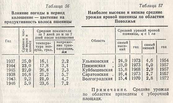 Влияние погоды в период колошение цветение на продуктивность колоса пшеницы