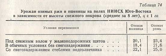 Урожаи озимых ржи и пшеницы на полях НИИСХ Юго-Востока в зависимости от высоты снежного покрова