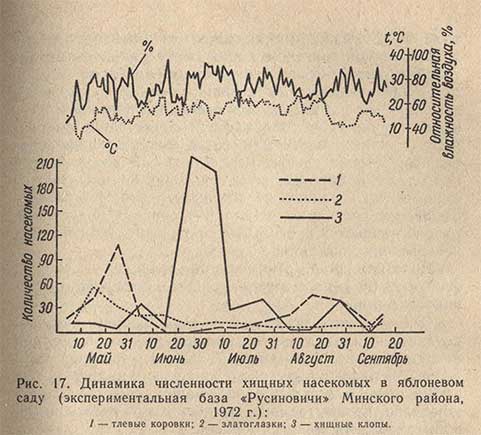 Динамика численности хищных насекомых в яблоневом саду