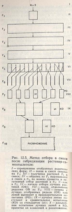 Метод отбора в смеси после гибридизации растения-самоопылителя