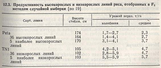 Продуктивность высокорослых и низкорослых популяций риса