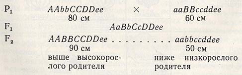 Трансгрессия генов