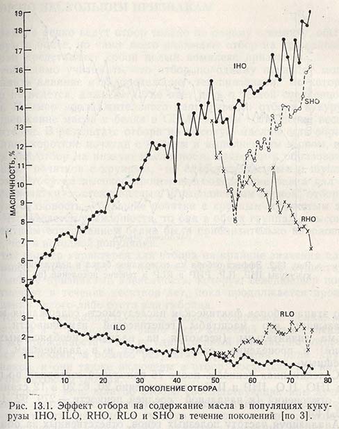Эффект отбора на содержание масла в популяциях кукурузы IHO, ILO, RLO и SHO в течение поколений