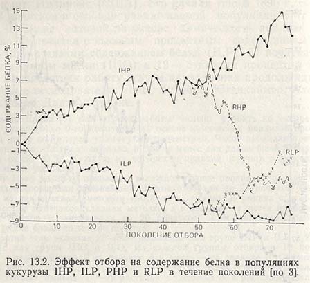 Эффект отбора на содержание белка в популяциях кукурузы IHP, ILP, PHP и RLP в течение поколений