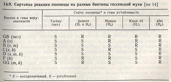 Сортовая реакция пшеницы на разные биотипы гессенской мухи