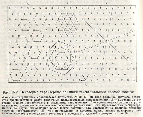 Некоторые характерные признаки гексагонального способ посева