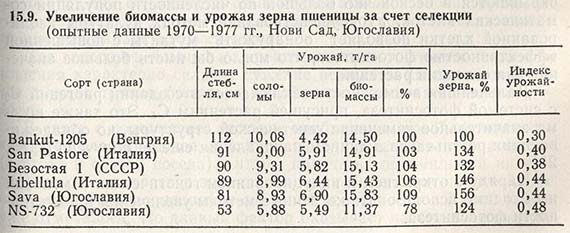 Увеличение биомассы и урожая зерна пшеницы за счет селекции