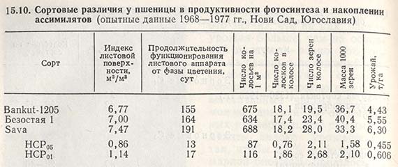Сортовые различия у пшеницы в продуктивности фотосинтеза и накоплении ассимилятов