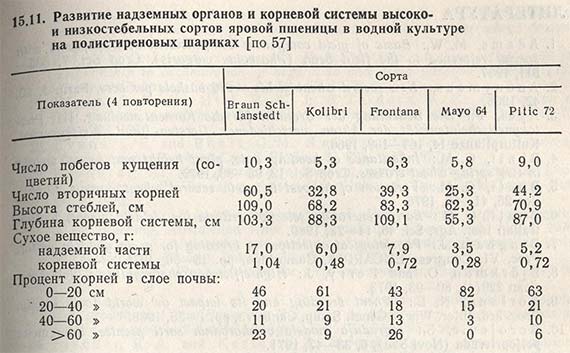 Развитие надземных органов и корневой системы высоко- и низкостебельных сортов яровой пшеницы в водной культуре