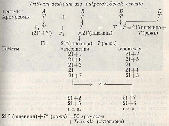 Схематическое изображение метода