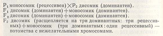 Ген устойчивости в хромосоме растения-моносомика