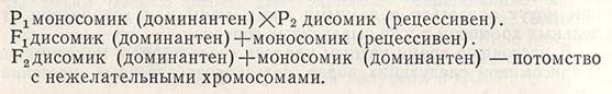 Хромосомы F1, носители рецессивных генов