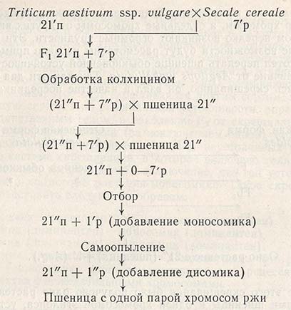 Схематичное изображение метода