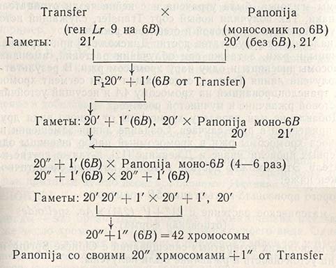 Замещение хромосом