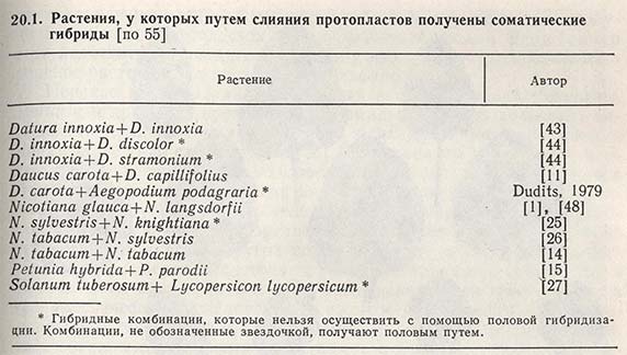 Растения, у которых путем слияния протопластов получены соматические гибриды