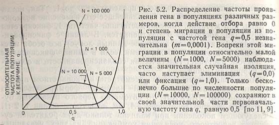 Распределение частоты проявления гена в популяциях различных размеров