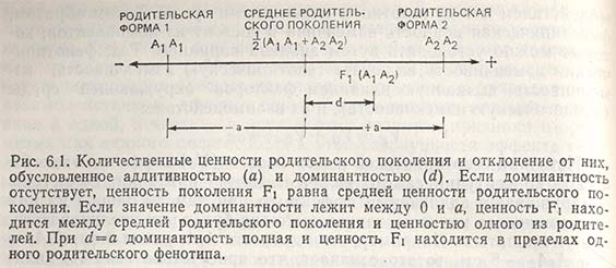 Количественные ценности родительского поколения и отклонение от них