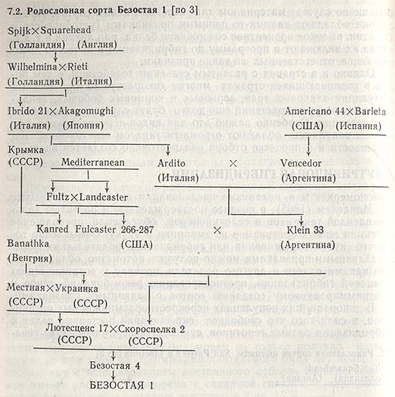 Родословная сорта Безостая 1