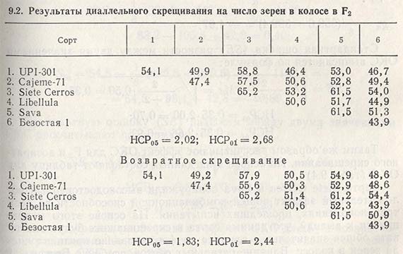 Количество зерен в Колосе. Как посчитать количество зерен в Колосе пшеницы. Число зерен на 1 мм2. Число зерен в соответствии шт.