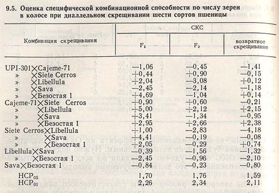 Оценка специфической комбинационной способности по числу зерен в колосе при диаллельном скрещивании шести сортов пшеницы