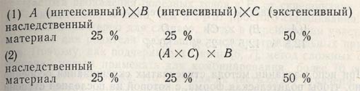 Последовательность введения родительских форм в скрещивания не играет роли