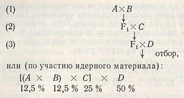 В скрещивание включают четвертого и даже пятого родителя