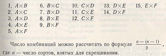 Каждый сорт начинают скрещивать со всеми остальными по схеме