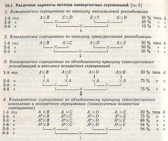 Различные варианты методов конвергентных скрещиваний