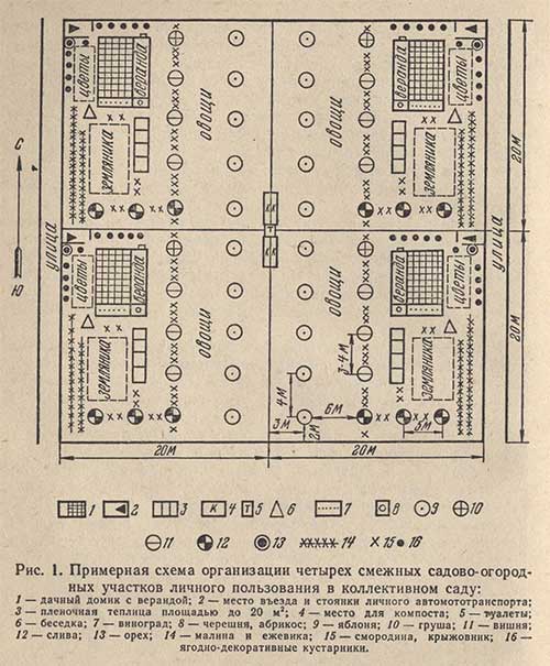 Примерная схема организации четырех смежных садово-огородных участков личного пользования