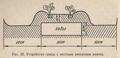 Устройство гряды с местным внесением навоза