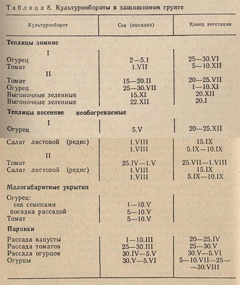 Культурообороты в защищенном грунте