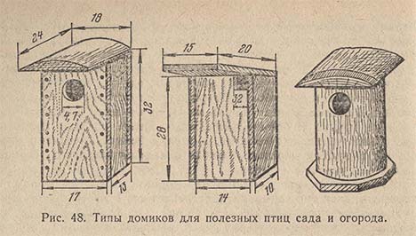 Типы домиков для полезных птиц сада и огорода
