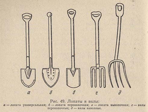 Лопаты и вилы