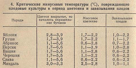 Критические минусовые температуры, повреждающие плодовые культуры в период цветения и завязывания плодов