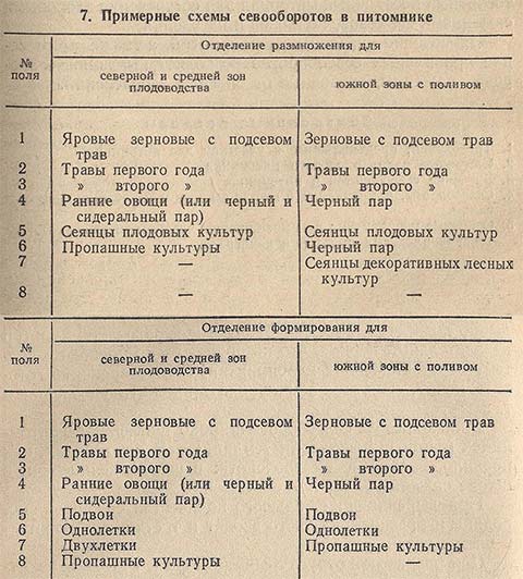 Примерные схемы севооборотов в питомнике