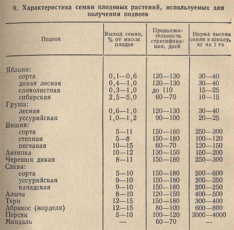 Характеристика семян плодовых растений, используемых для получения подвоев